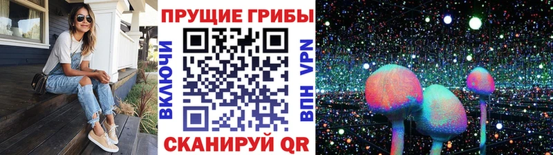Псилоцибиновые грибы Psilocybe  Поворино 